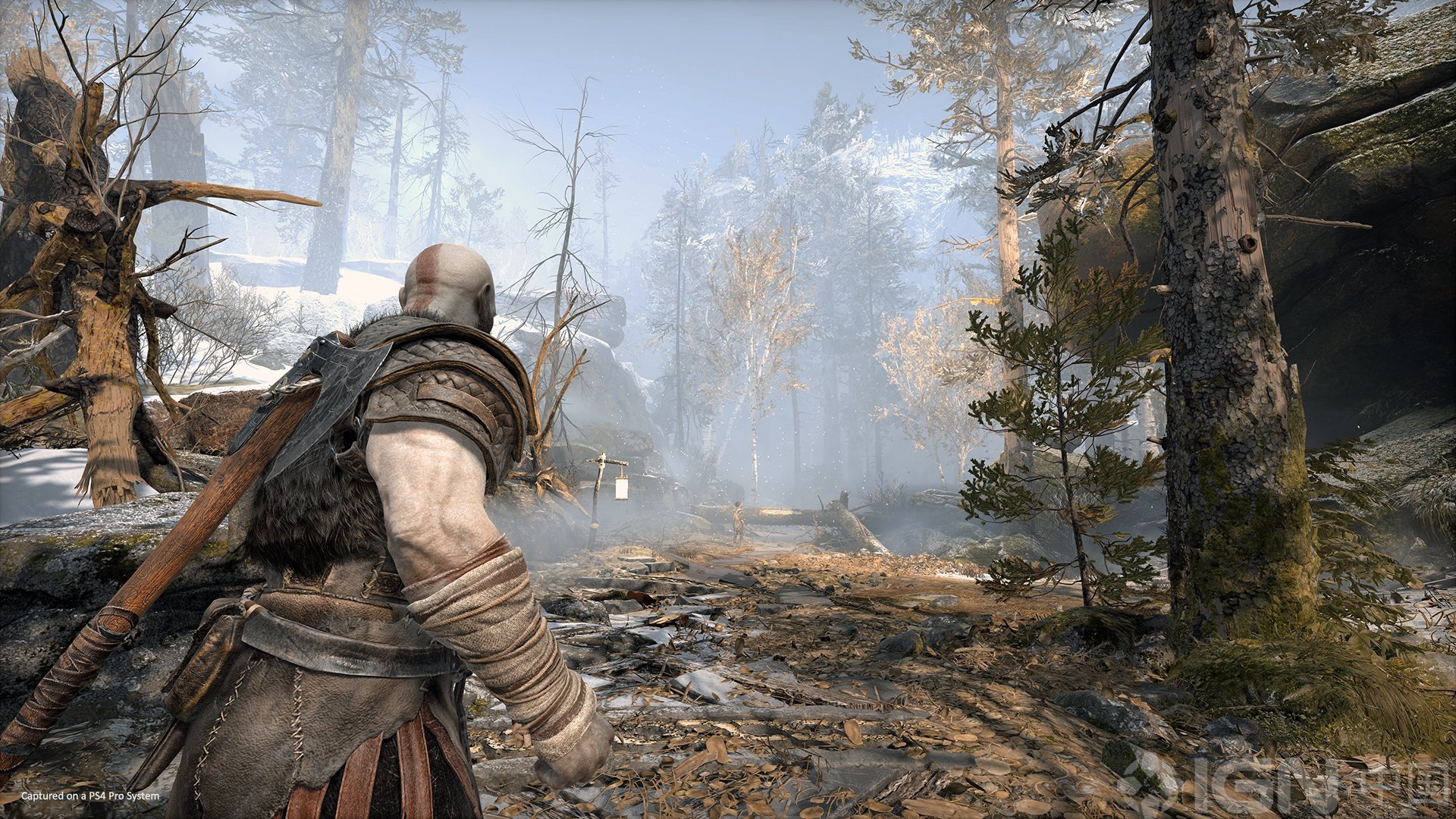 泰拉瑞亚 豪华版 截图7